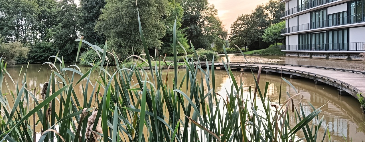 IJsselpark, Nieuwerkerk aan den IJssel - © 2024 Wesley M. Dekker