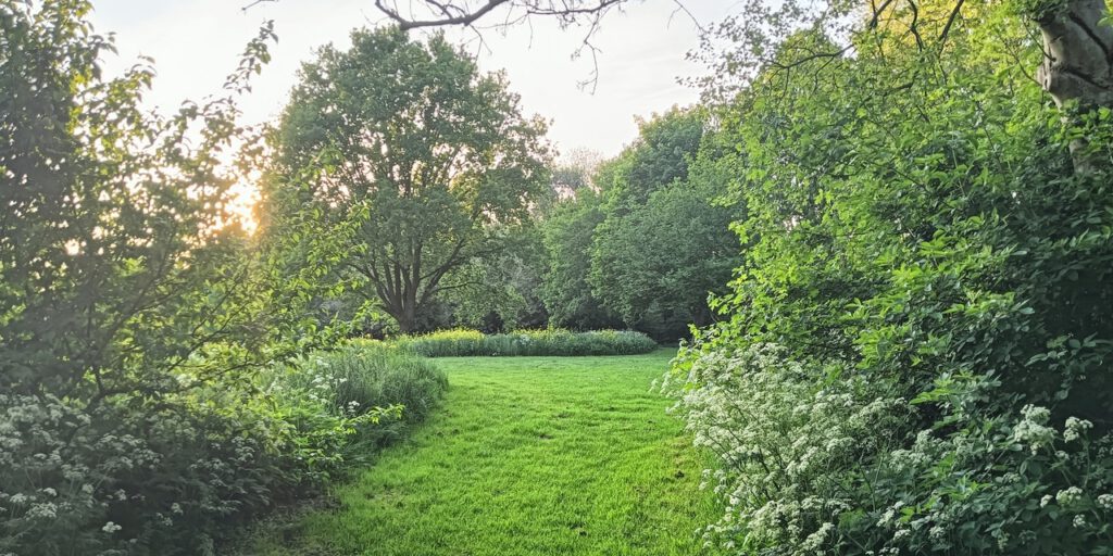 Doorkijkje IJsselpark - IJsselpark, Nieuwerkerk aan den IJssel - Foot: © mei 2025 Wesley M. Dekker