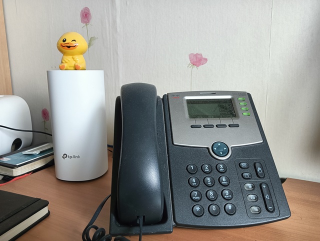 Snel zakelijke vragen stellen - Telefoon en eendje op router - Foto: © mei 2025 Wesley M. Dekker