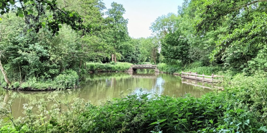Bruggetje in het IJsselpark - Foto: © juli 2025 Wesley M. Dekker