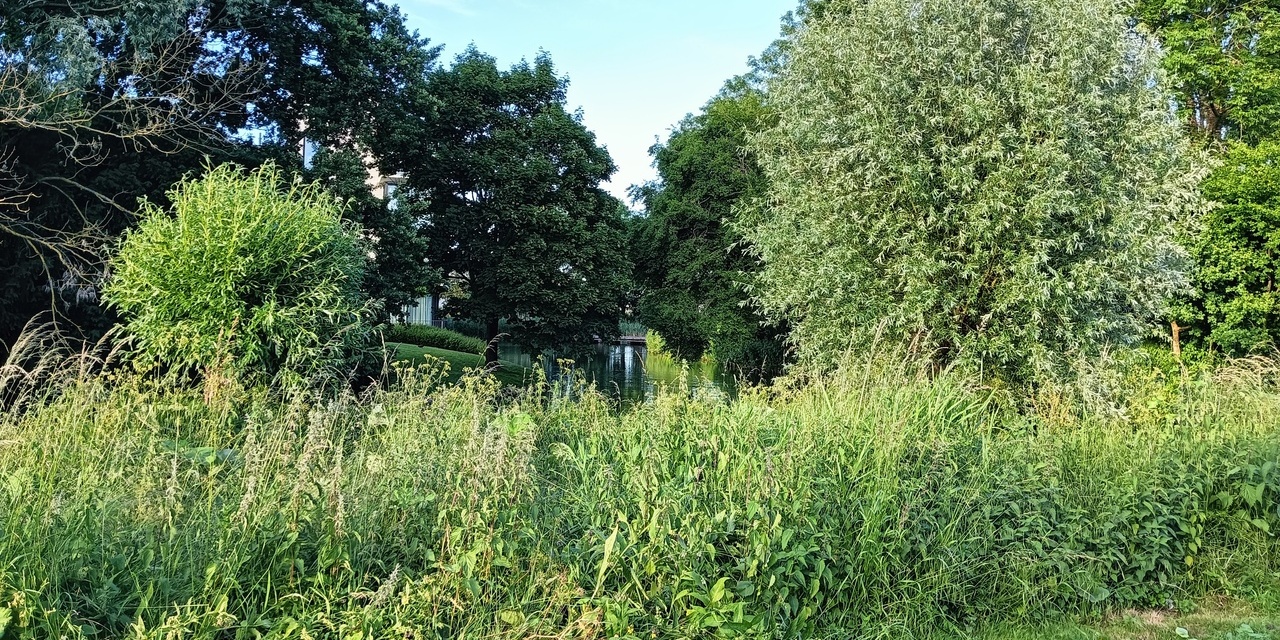 Natuur IJsselpark bij het hotel - Foto: © juli 2025 Wesley M. Dekker